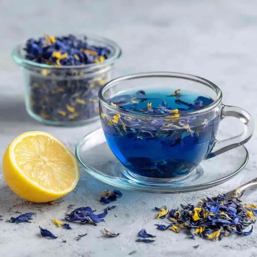 Butterfly pea flower tea vibrant blue color